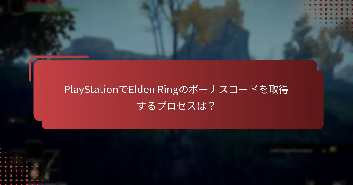 Elden Ringのボーナスコードを取得することに伴うリスクは？